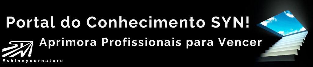 Portal do Conhecimento SYN! qualificações valiosas