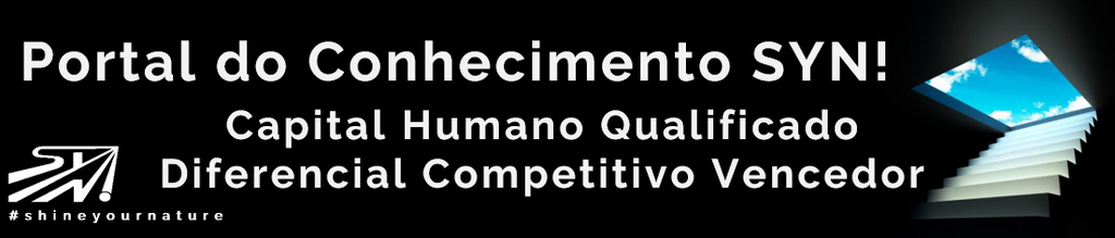 Portal do Conhecimento SYN! qualificações valiosas